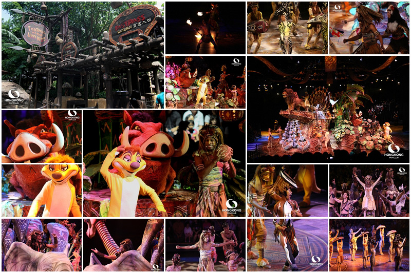 Festival of the Lion King : หนึ่งในการแสดงตระการตา ที่ไม่ควรพลาด