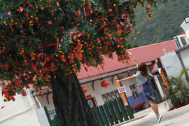 Lam Tsuen Wishing Tree 