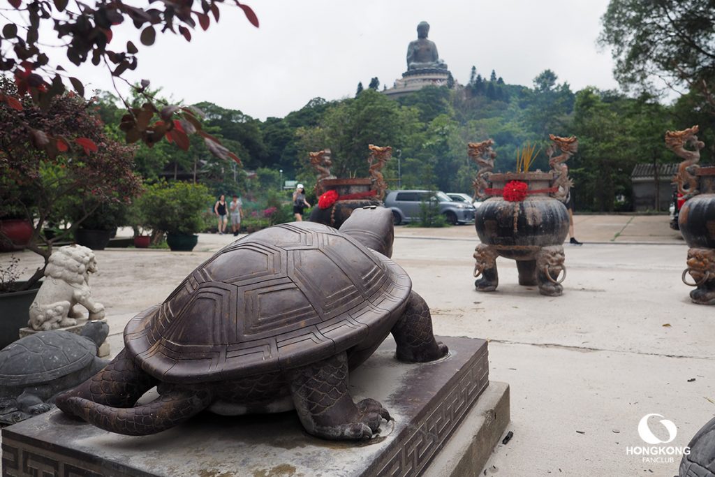 นั่งกระเช้านองปิง ไหว้พระ วัดโป่หลิน (Polin Monastery)