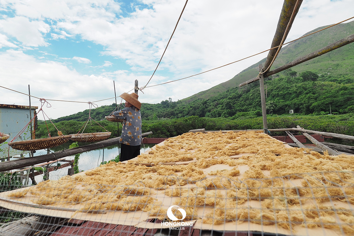 Tai O Fishing Village